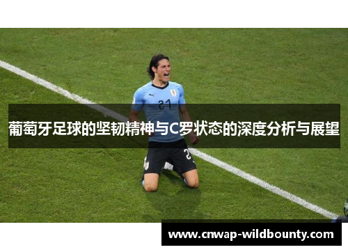 葡萄牙足球的坚韧精神与C罗状态的深度分析与展望