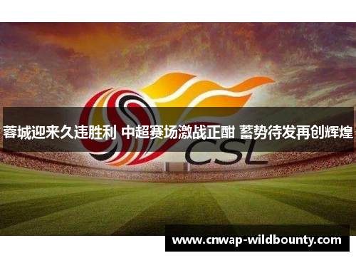 蓉城迎来久违胜利 中超赛场激战正酣 蓄势待发再创辉煌