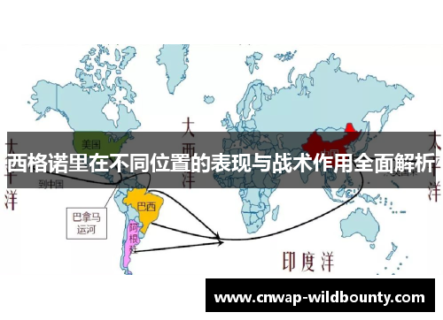 西格诺里在不同位置的表现与战术作用全面解析