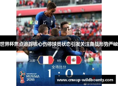 世界杯焦点追踪核心伤停球员状态引发关注备战形势严峻