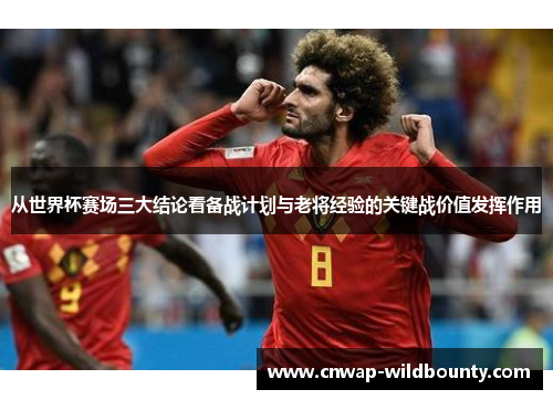 从世界杯赛场三大结论看备战计划与老将经验的关键战价值发挥作用
