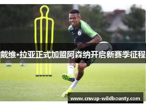 戴维·拉亚正式加盟阿森纳开启新赛季征程