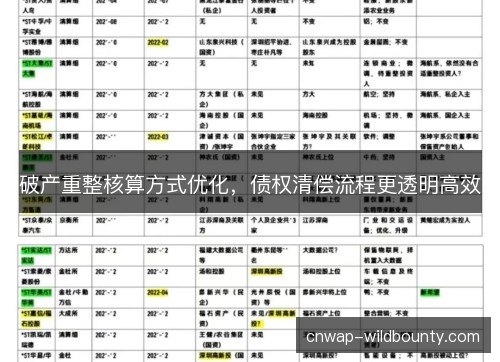 破产重整核算方式优化，债权清偿流程更透明高效